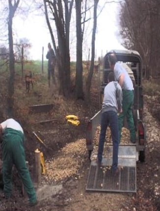 Community offenders on a woodland walk project