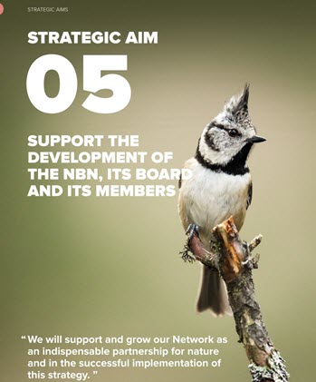 Strategic Aim 5