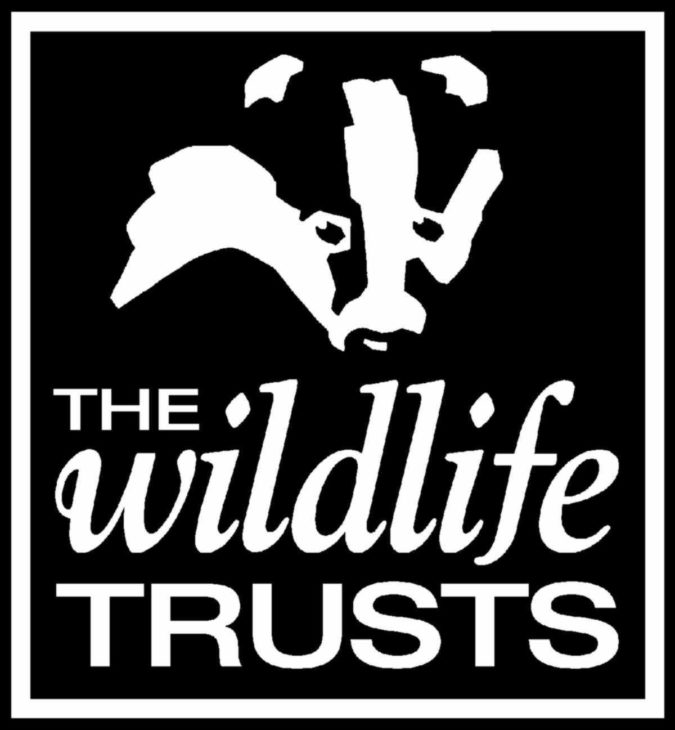 Bramble  The Wildlife Trusts