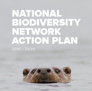 National Biodiversity Network action plan