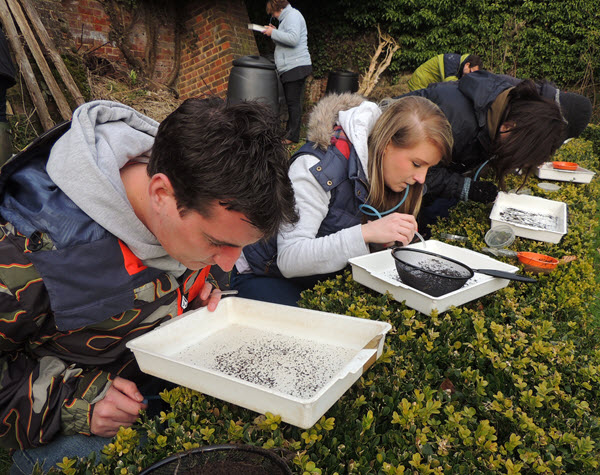 Soil mesofauna c. Pete Boardman & FSC