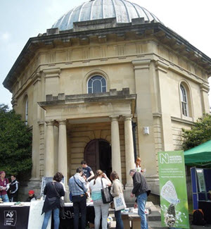 Brompton cemetery BioBlitz