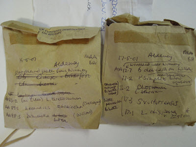 Lichens in labelled packages