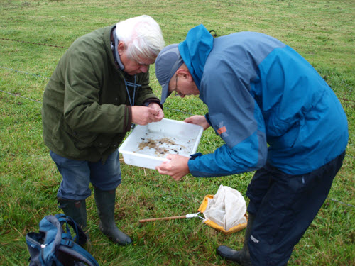 Beetling c. John Newbould & National Trust