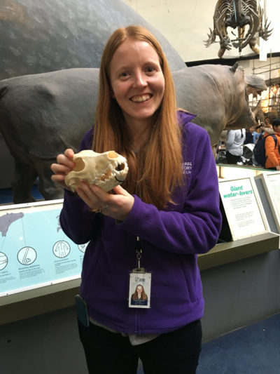 Jas and Niki engaging the public with skulls in mammals gallery