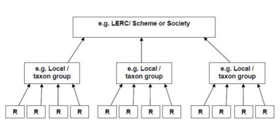 Figure 1. Illustration of the aggregation of databases into combined databases at different stages