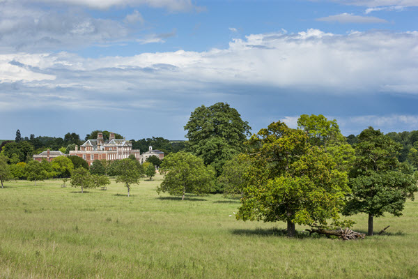 Capability Brown anniversary results in tree-mendous legacy - National ...