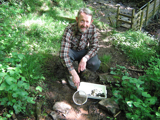 Dr Ian Wallace searching for caddis larvae