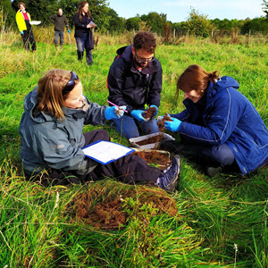 Worm search (C) Olga Vinduskova