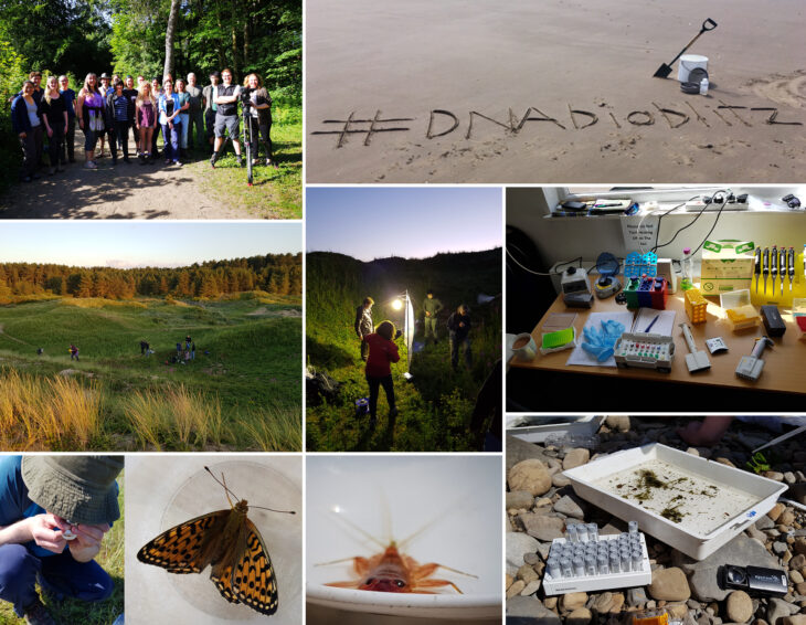 A few photos from the 2019 Ainsdale DNA bioblitz run by NHM and Natural England, where 55 staff and volunteers from 12 organisations collected over 1000 specimens over 3.5 days. NHM sequenced DNA barcodes from 384 specimens in a pop-up lab at the field base. Specimens collected during this bioblitz are being used in the DToL project.