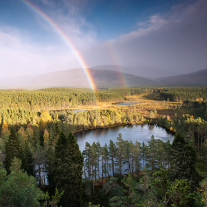 Cairngorms c. Cairngorms National Park Authority