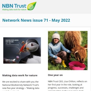 Network News May