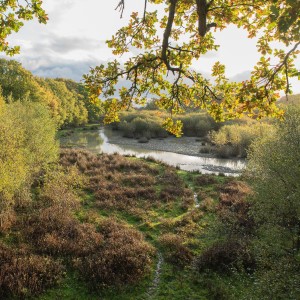 Knepp Wildlands © Sam Rose