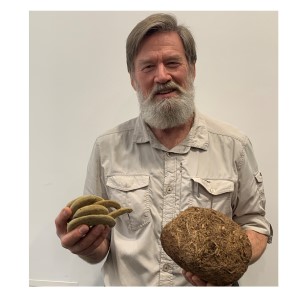 Ian Redmond with elephant dung and tree seeds c. Lisa Chilton