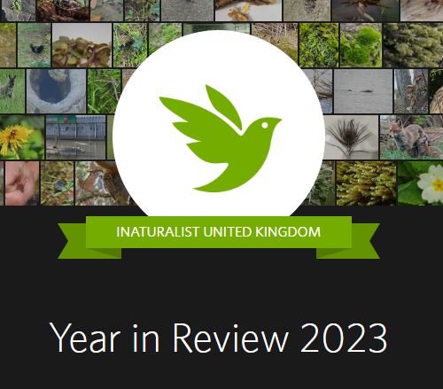 Year in Review iNaturalistUK 2023 icon