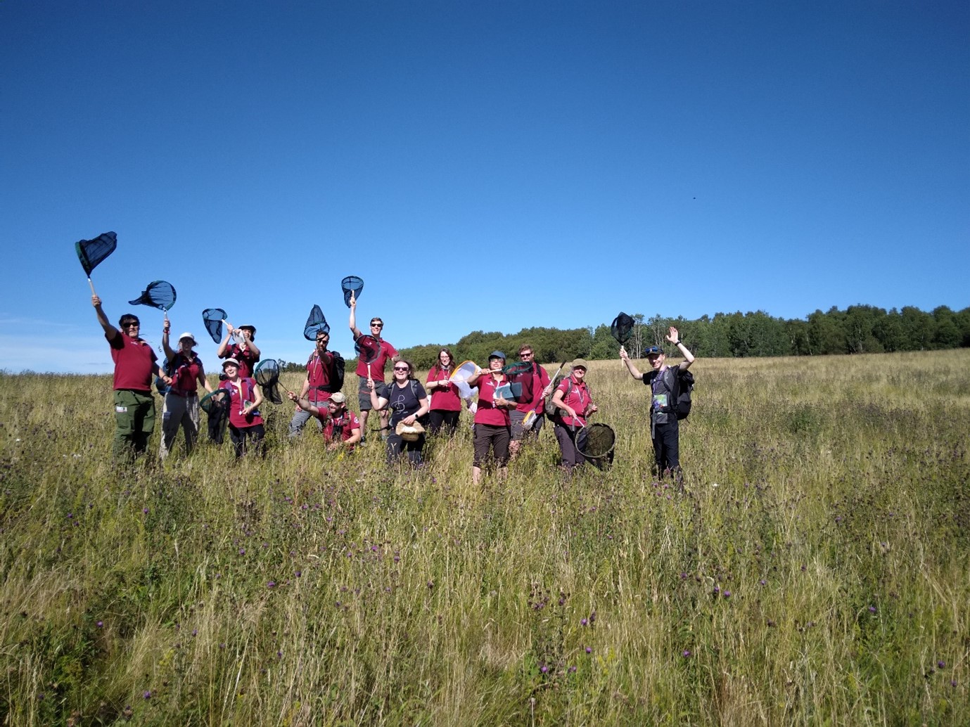 Skills for Bees: Scotland - National Biodiversity Network