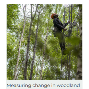 Measuring change in woodland c. UKCEH