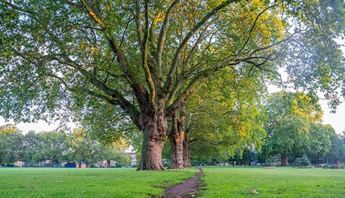 ©Photos BrianScantlebury/Shutterstock