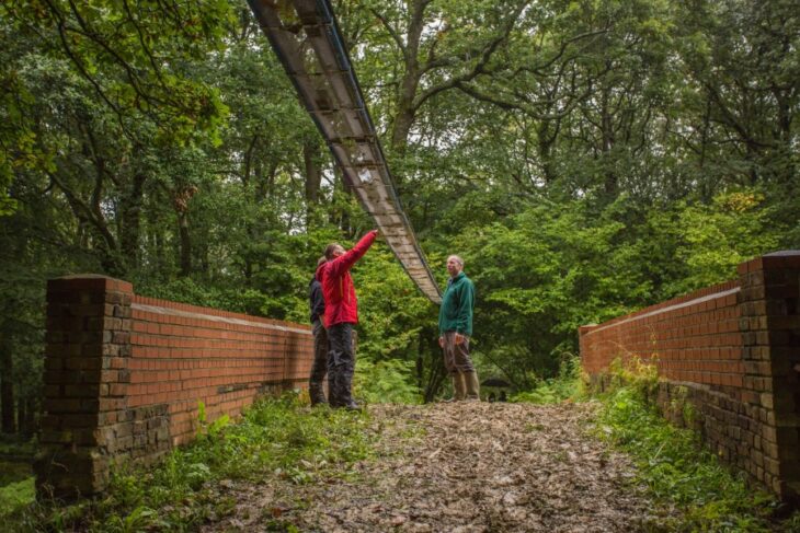 Hazel dormouse bridge on the Isle of Wight. Credit People's Trust for Endangered Species