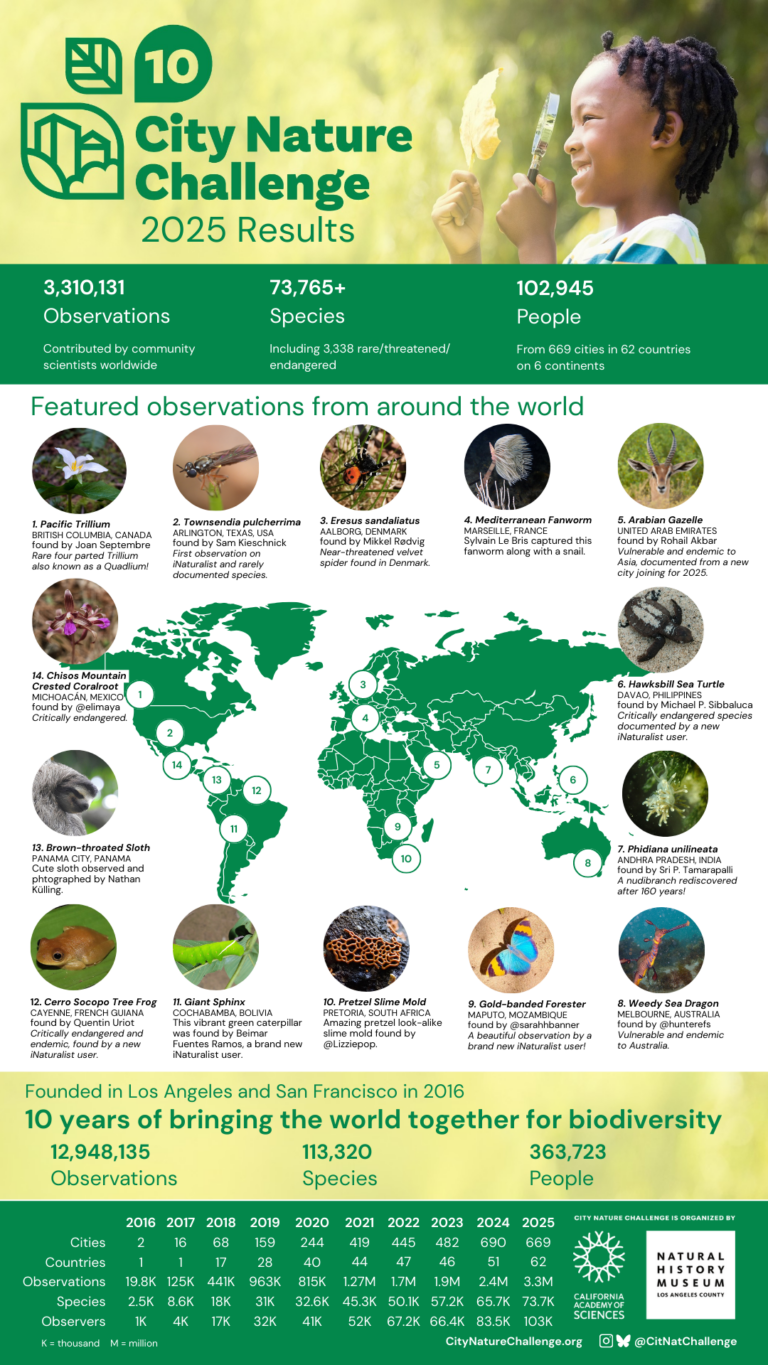 City Nature Challenge 2025 - results are in! - National Biodiversity ...
