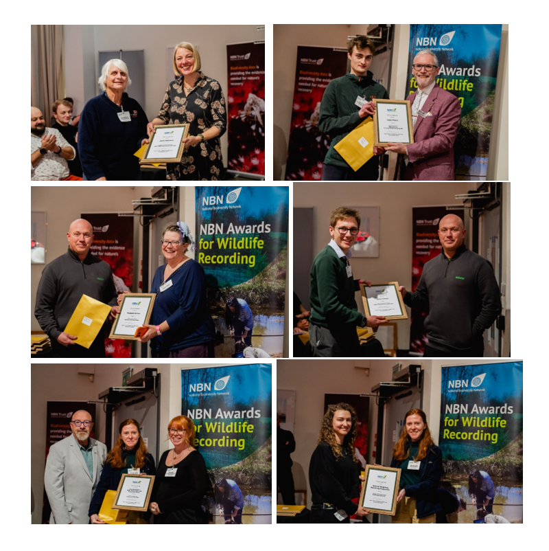 Some of the NBN Award recipients who were at the prize-giving