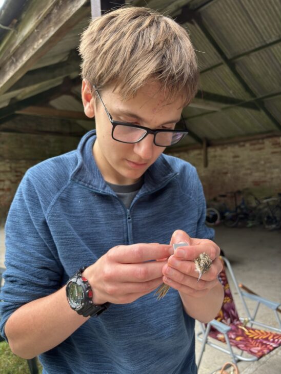 Henry Colnet NBN Young Person's Award winner 2025 and treecreeper