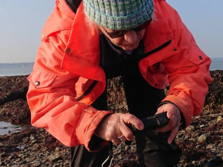 Jenny Mallinson Intertidal recording at Calshot