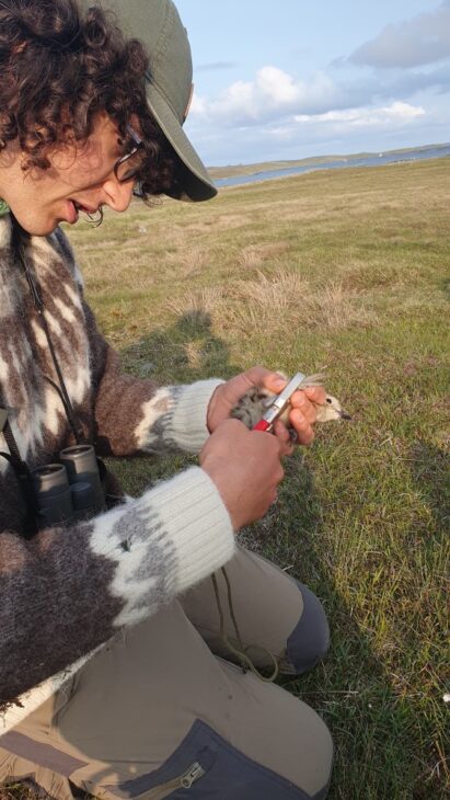 Joe Carroll, NBN Young Person's Award Winner 2025
