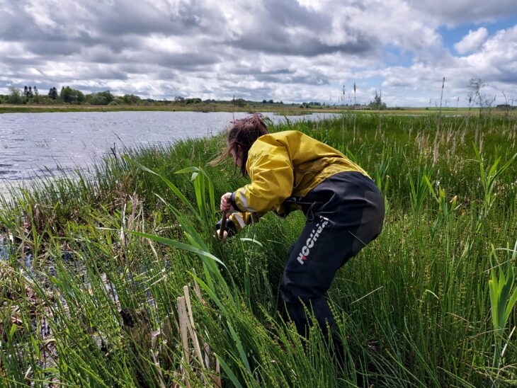 Molly Davidson, surveying freshwater bugs, Credit: Heather McCallum / RSPB