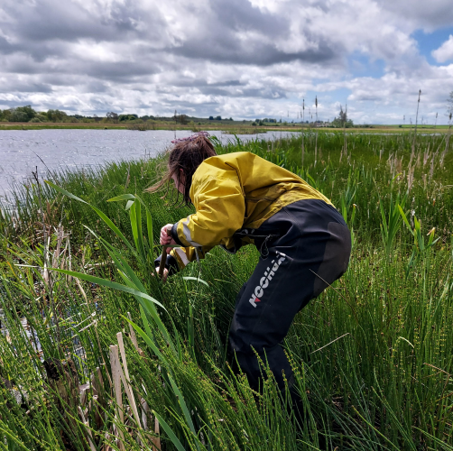 Molly Davidson, surveying freshwater bugs, Credit: Heather McCallum / RSPB
