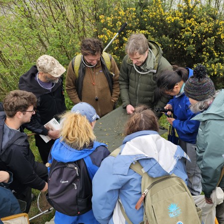 North West Invertebrates spider workshop with Richard Gallon