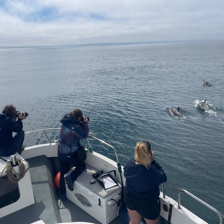 Sea Watch Volunteers with common dolphins